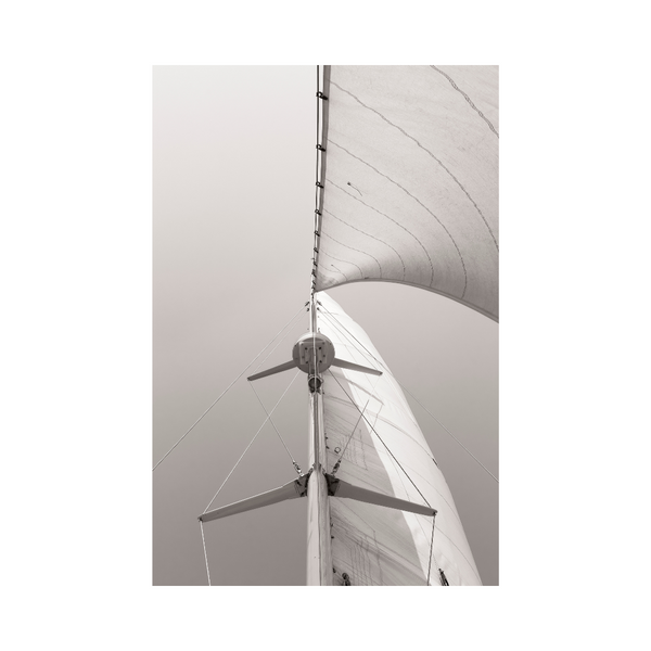 Sailing Photography Print