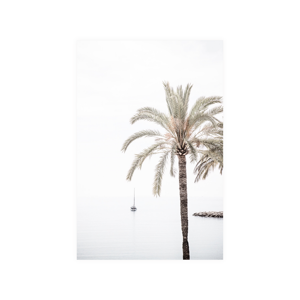 Palm Tree - Photographic Art Print For Wall Décor