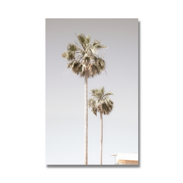Palm Trees - Photographic Art Print Wall Décor Canada