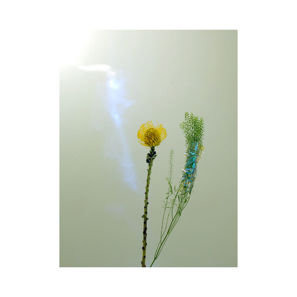  Glowy Flowers - Photographic Art Print